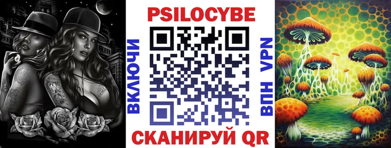 мориарти клад  Краснодар  Псилоцибиновые грибы Cubensis 